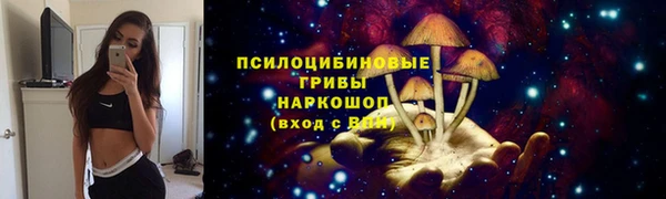 метадон Медногорск