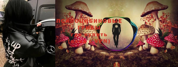 молекула духа Фурманов