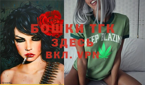 spice Михайлов