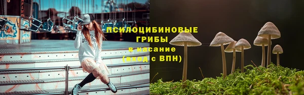 apvp Медвежьегорск